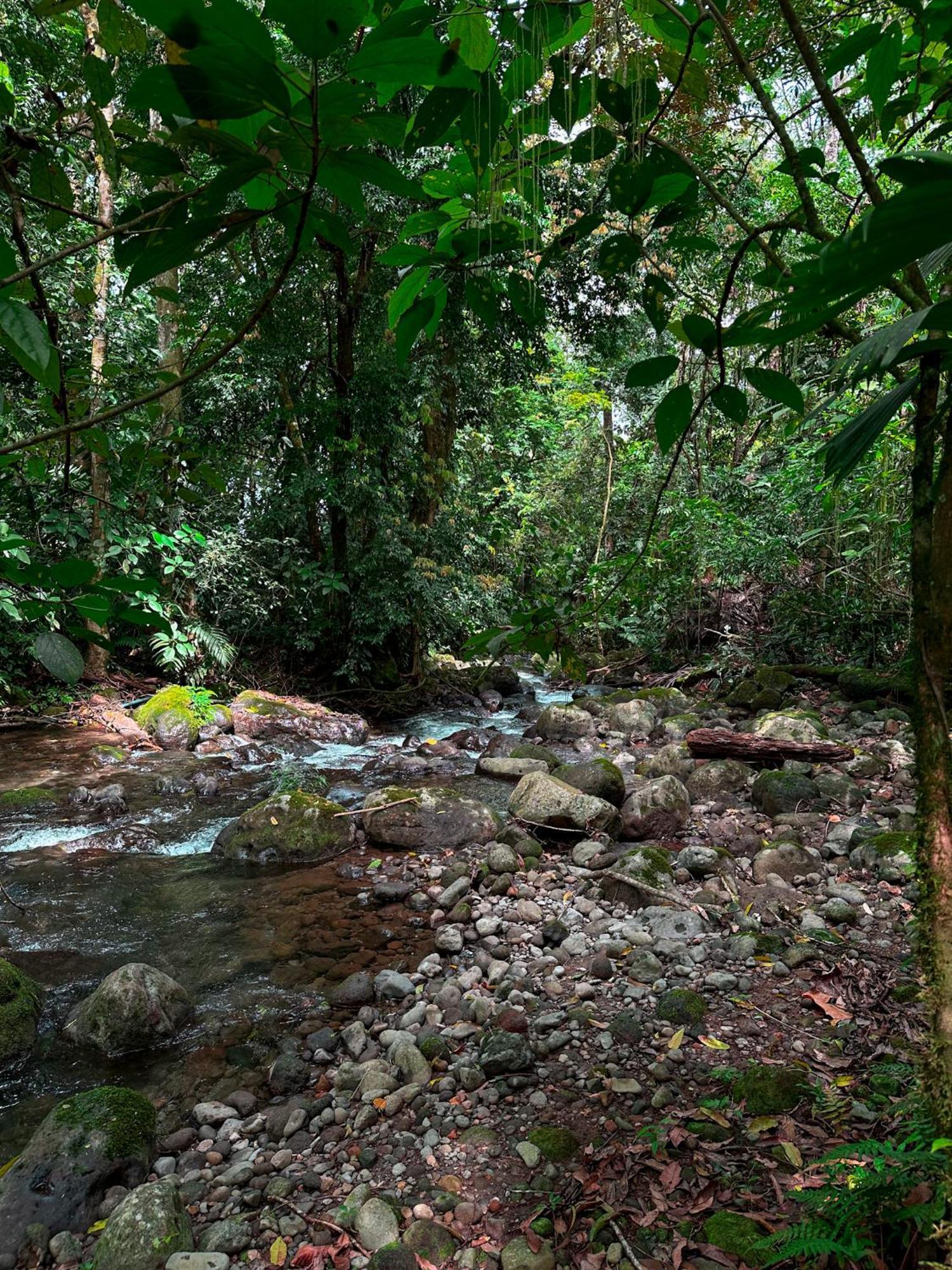 Cabanas Rio Escondido En La Fortuna Dış mekan fotoğraf