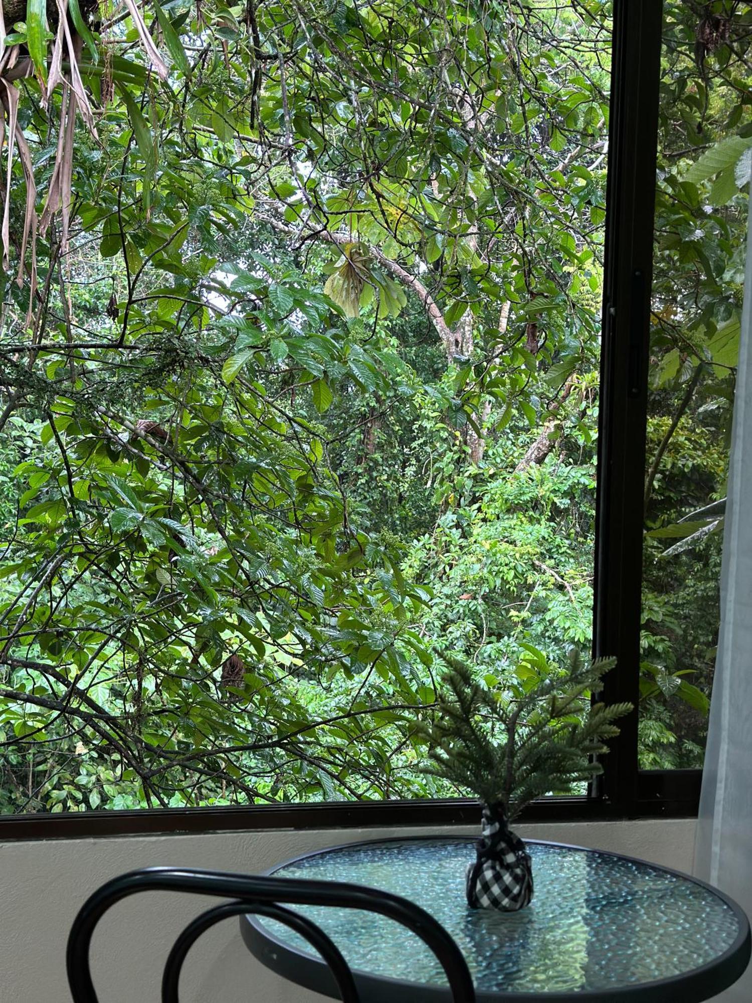 Cabanas Rio Escondido En La Fortuna Dış mekan fotoğraf